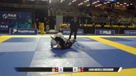 Allison Marie Hoschtetler vs Laura Michelle Bresemann 2025 Pan Jiu Jitsu IBJJF Championship
