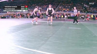 D1-215 lbs Cons. Round 2 - Brandon Glisson, Davison vs Sullivan Haas, Brighton