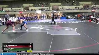 126 lbs Quarterfinals (8 Team) - Jake Gronli, Owatonna vs Dom Ammerman, Holmen