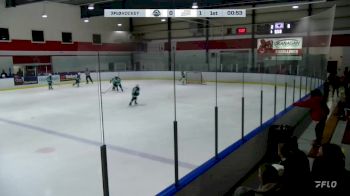 Replay: Home - 2024 North Shore U12 vs Little Caesars U1 | Nov 29 @ 5 PM