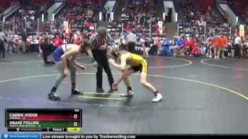 110 lbs Quarterfinals (8 Team) - Drake Pollins, South Lyon Matcats vs Caiden Hodge, Davison