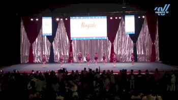 Cheeriffic Allstars - Golden Barbies [2025 L1 Tiny - D2 Day 1] 2025 The American Royale Sevierville Nationals