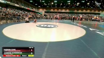 62-64 lbs Round 2 - Hudson Cook, Lassen Wrestling Association vs Cadence Hunderman, Gold Rush Reno