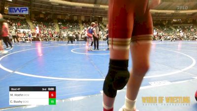 110 lbs Round Of 16 - Bryce Siem, Minnesota Elite vs Jaxsen Williamson, The Best Wrestler