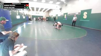 165 lbs Champ. Round 1 - Damian Pelagio, Villa Park vs Justin Willard, Patrick Henry