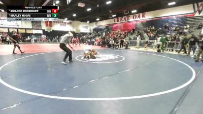 120 lbs Quarterfinal - Ricardo Rodriguez, Santa Fe vs Marley Hogai, El Toro