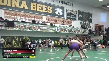 175 lbs Quarterfinal - Cameron Mink, Beavercreek vs Adam Schumacher, Avon Ohio