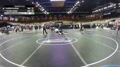 138 lbs Cons. Round 2 - Aaron Ellison, Troup vs Jayden James, Suwannee