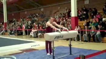 Eric Hergenrader - Pommel Horse