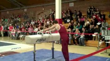 John Martin - Pommel Horse