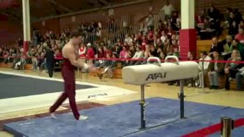 Ryan Lieberman - Pommel Horse