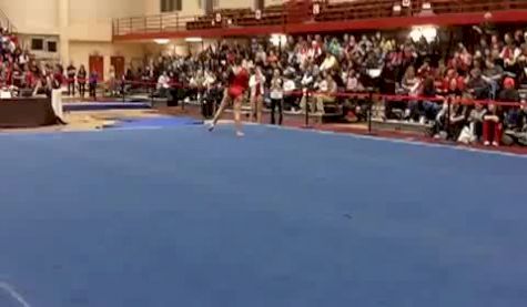 Brown (Carli Wiesenfeld) - 9.525