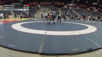 184 lbs Champ. Round 2 - Brock Trevino, Rochester University vs Gabriel Flick, Marian University