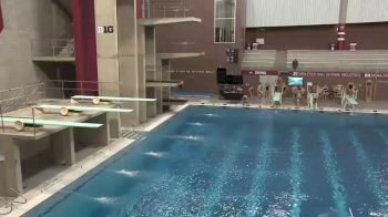 2018 Texas A&M and Louisville at Ohio State | Big Ten Mens Dive