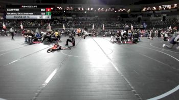 49 lbs Round Of 16 - Liam Wint, Washington Twp vs Gabriel Goldsberry, Iron Horse
