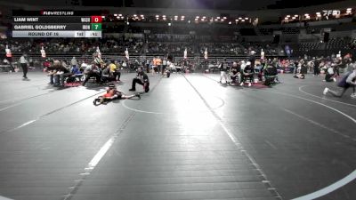 49 lbs Round Of 16 - Liam Wint, Washington Twp vs Gabriel Goldsberry, Iron Horse