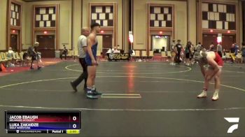 167 lbs Round 5 - Jacob Ebaugh, Delaware Intensity vs Luka Zakaidze, Wolf Wrestling