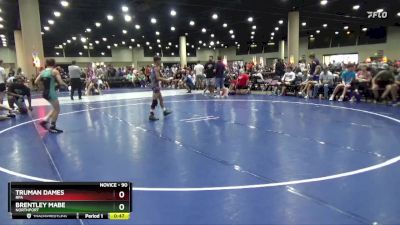 90 lbs Quarterfinal - Truman Dames, RPA vs Brentley Mabe, Northport