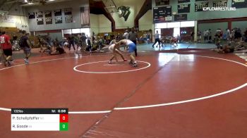 132 lbs Consi Of 4 - Patrick Schellpfeffer, Nc vs Raymond Goode, Va