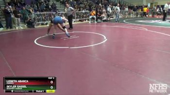 137 lbs Semifinal - Skyler Gassel, Newport Harbor vs Lizbeth Abarca, Chaffey