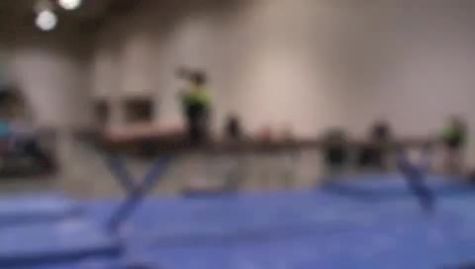 Twin City Twisters (Maggie Nichols)