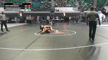 1A-4A 132 Cons. Semi - Christian Beckwith, New Hope HS vs Riley Westbrook, Shoals Christian Schools