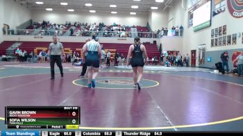 165 lbs Cons. Round 3 - Gavin Brown, Rocky Mountain vs Sofia Wilson, Twin Falls