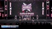 York Elite All Stars - Purple Reign [2026 L1 Youth - Flex - D2 - Small - B DAY 1] 2026 JAMfest Cheer Super Nationals