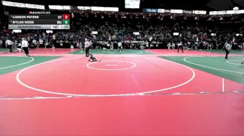 50 lbs Quarterfinal - Carson Peters, GFF3 vs Mylan Webb, WKA2