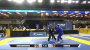 Edward Ha vs Glenn Darren Krieger 2026 Pan Jiu Jitsu IBJJF Championship