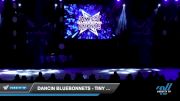 Dancin Bluebonnets - Tiny Elite Lyrical [2022 Tiny - Contemporary/Lyrical Day 3] 2022 JAMfest Dance Super Nationals