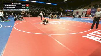 132 Class 1 lbs Quarterfinal - Roper Niemeier, Marceline vs Cole Hamrick, Versailles