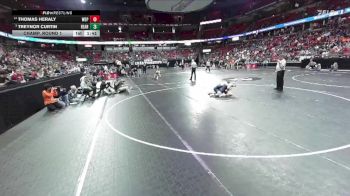 D1-113 lbs Champ. Round 1 - Treynor Curtin, Reedsburg Area vs Thomas Heraly, West De Pere