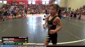 65 lbs Champ. Round 2 - Jasper Brown, Weaver Youth Wrestling vs Gabriel Rigdon, Stronghold