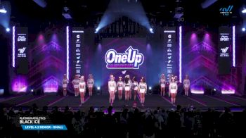 Platinum Athletics - Black Ice [2025 L4.2 Senior - Small Day 2] 2025 One Up Grand Nationals