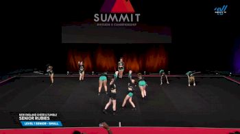 New England Cheer & Tumble - Senior Rubies [2025 L1 Senior - Small Prelims] 2025 The D2 Summit