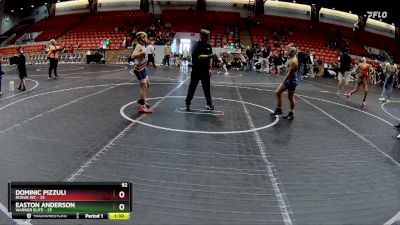 92 lbs Finals (2 Team) - Dominic Pizzuli, Rogue WC vs Easton Anderson, Warner Elite