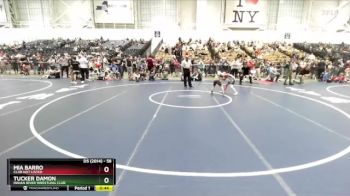 58 lbs Semifinal - Tucker Damon, Indian River Wrestling Club vs Mia Barro, Club Not Listed