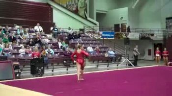 Christa Greinke - FX - @ CMU