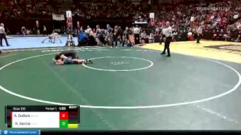 161 lbs Semifinal - Navea Garcia, Platte Valley vs Alissa DuBois, Bennett