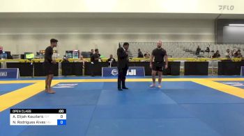 Andrew Elijah Kauzlaric vs Noah Rodrigues Alves 2024 IBJJF Jiu-Jitsu CON International