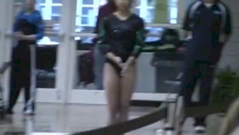 Metroplex (Lauren Li) - 9.425