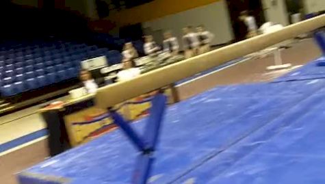 Brown (Chelsey Binkley) - 9.550