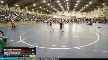 100 lbs Cons. Round 2 - Zerren Cornelius, Stansbury vs Mckenzie Mendoza, Slam Academy