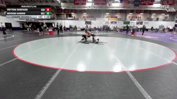 133 lbs Champ. Round 2 - Boogie Harris, Missouri vs Peyton Shepard, Central Missouri