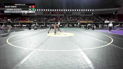 149 lbs Consi Of 32 #2 - Jelcey Marte, Liberty vs Andrew Woodley, James Madison