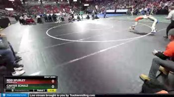 D2-113 lbs Quarterfinal - Reid Spurley, Dodgeville vs Carter Schulz, Rice Lake