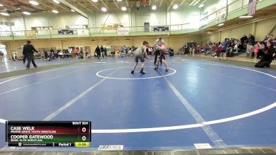 85-90 lbs Round 3 - Case Welk, Prairie Grove Youth Wrestling vs Cooper Gatewood, Rebel Elite Wrestling