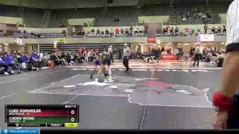 138 lbs Finals (8 Team) - Luke Dorweiler, New Prague vs Caden Wong, Wayzata