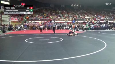 132 lbs Champ. Round 1 - Beau Bussman, Marysville Hs vs Adam Bilby, Rose Hill